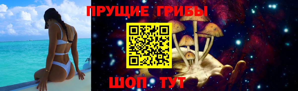 Галлюциногенные грибы Magic Shrooms  Вход с VPN  Новошахтинск  Галлюциногенные грибы MAGIC MUSHROOMS 